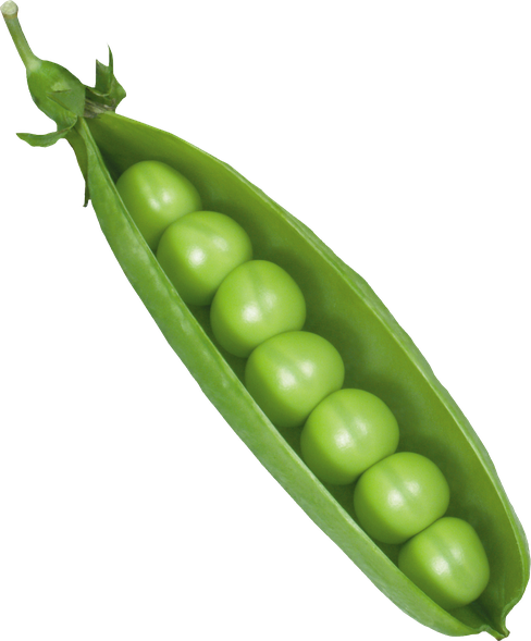 Peas Png Isolated Photo (black, olive)