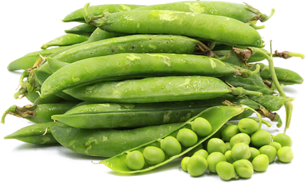 Peas Png Photos (black, white)