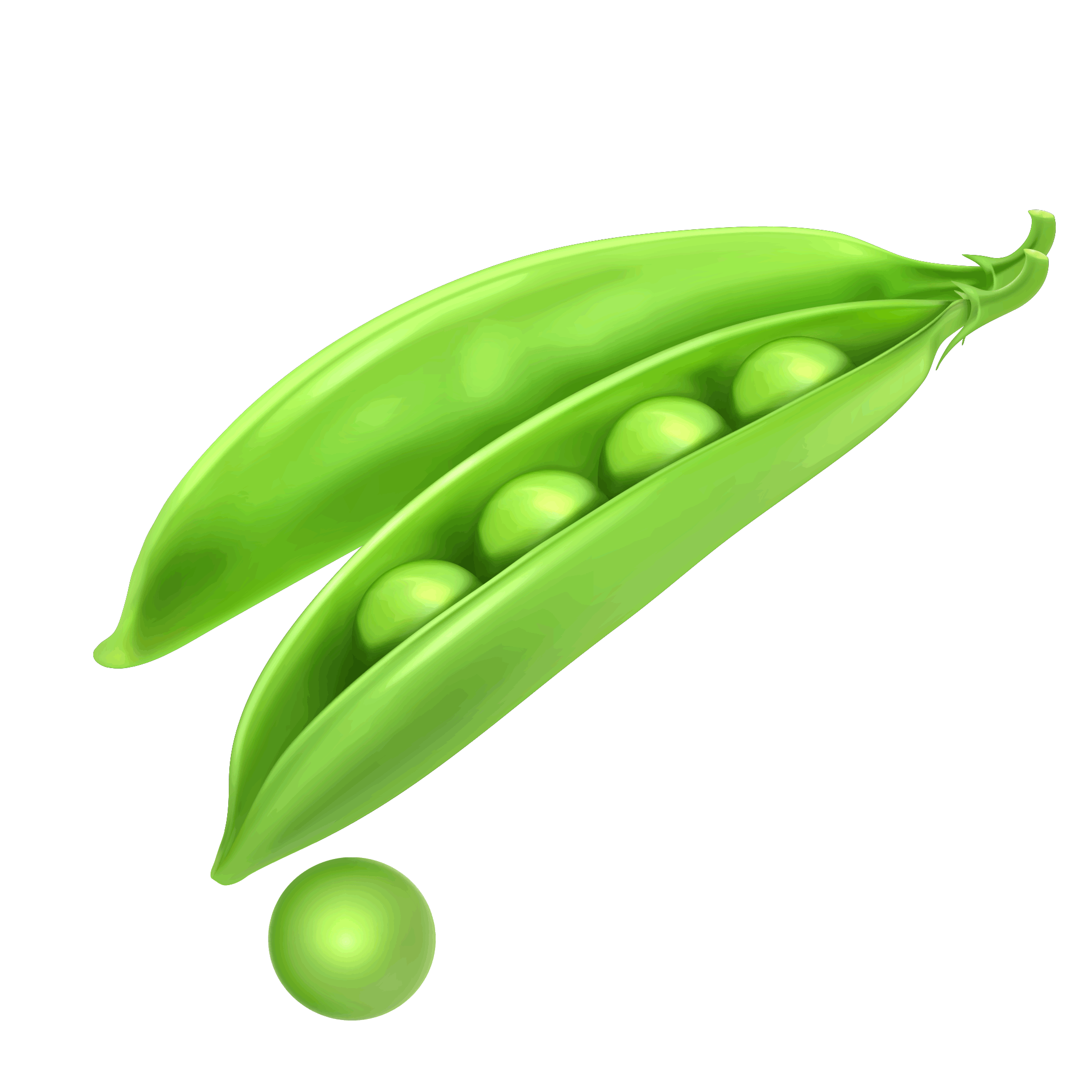 Peas Png Pic (white, gray, olive)