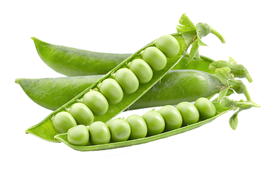 Peas Png Picture (black, gray)