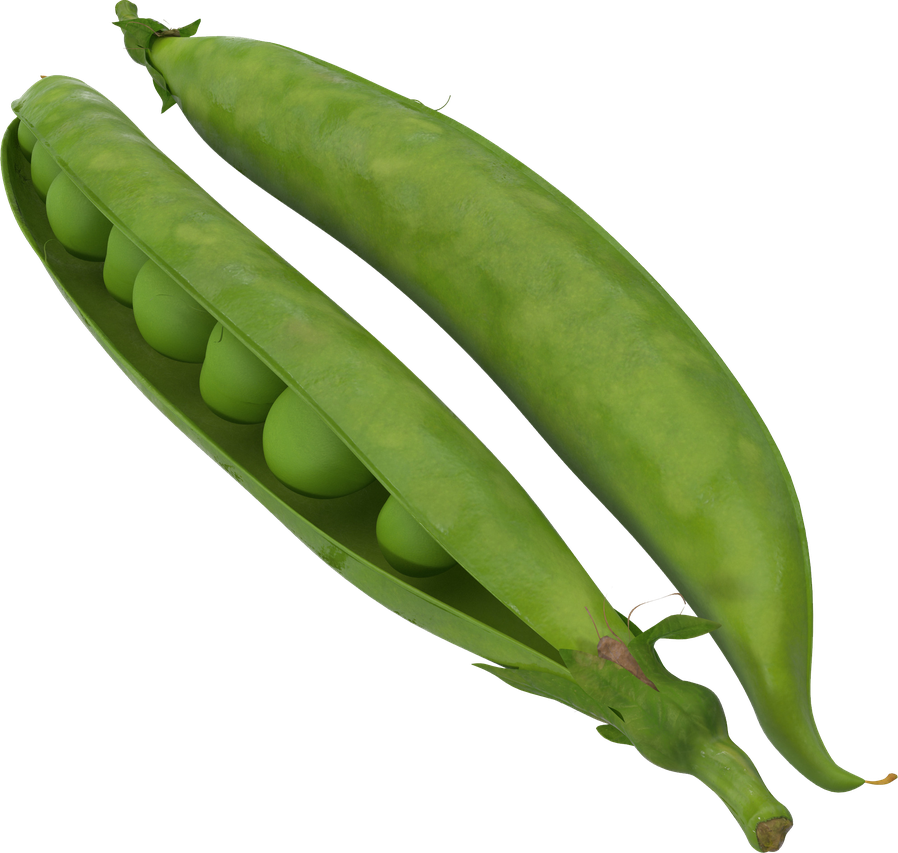 Peas Png (black, olive)