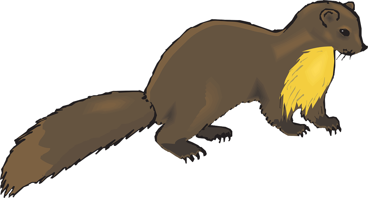 Weasels Download Png Image (gold, olive, gray, white)