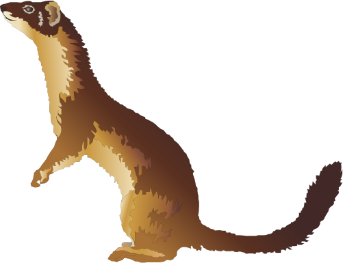 Weasels Png Clipart (maroon, black)