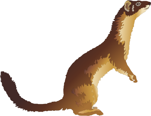 Weasels Png Isolated Image (maroon, black)