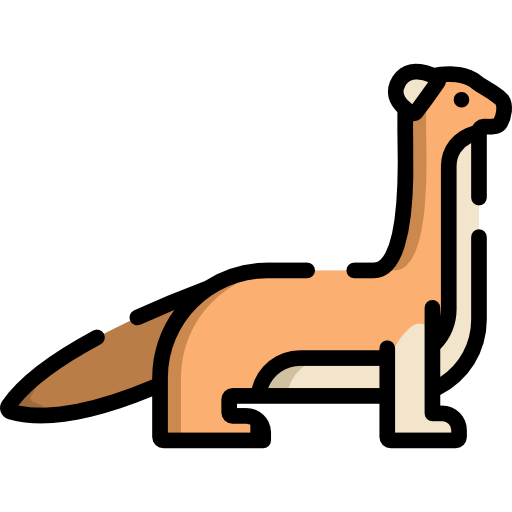 Weasels Png Pic (beige, black, white, chocolate, salmon)