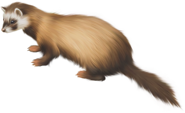 Weasels Png (black, maroon, salmon, olive, silver)