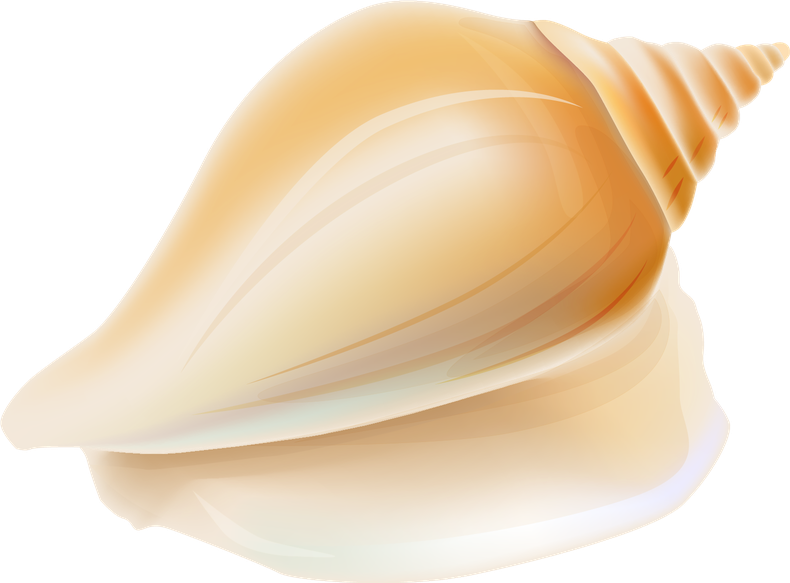 Seashell Png File (black, beige)