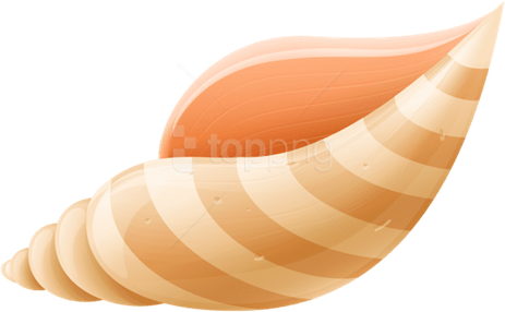 Seashell Png Isolated Hd (pink, black, salmon, beige, chocolate)