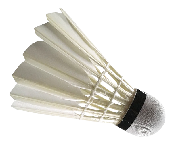 Feather Badminton Shuttlecock White Transparent Png (silver, white)