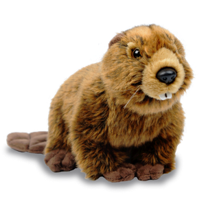 Beaver Png Hd (white, black, gray)