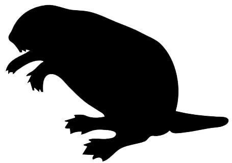 Beaver Png Pic (white, black)