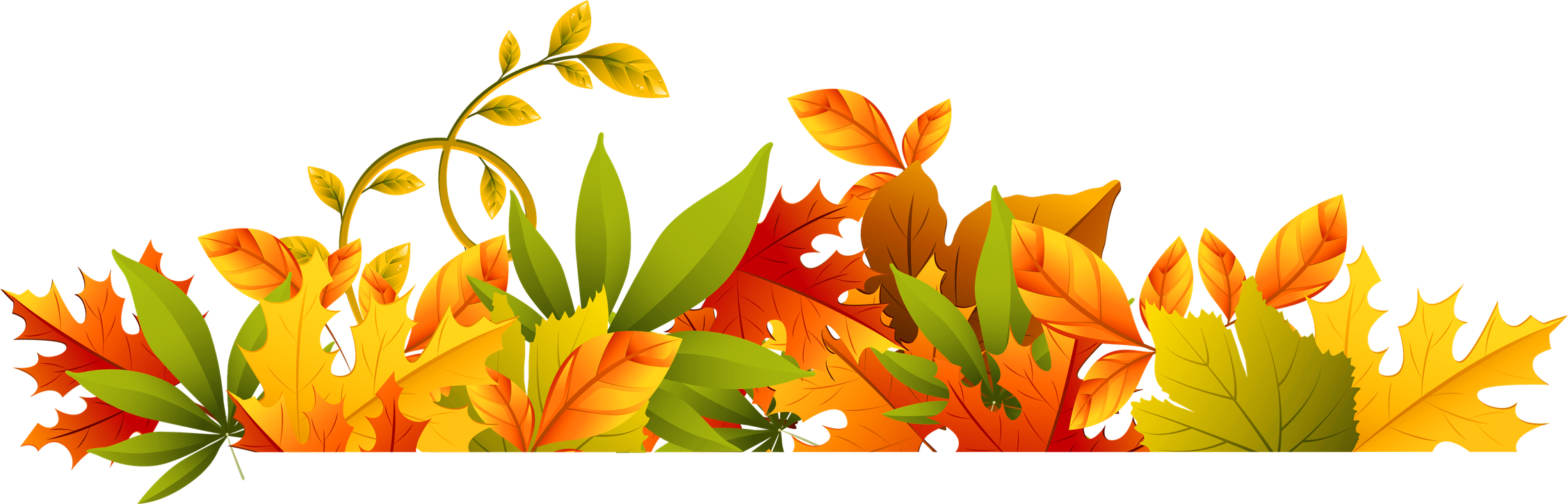 Leaves Border Download Png Image (orange, black)