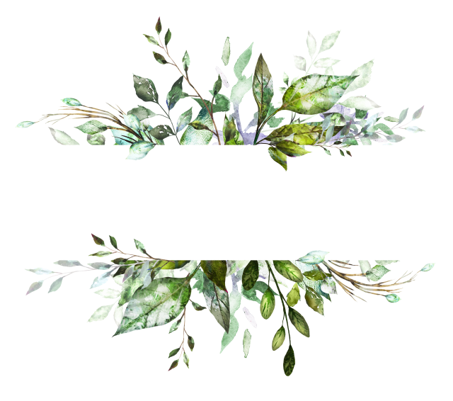 Leaves Border Png Hd (white, black)