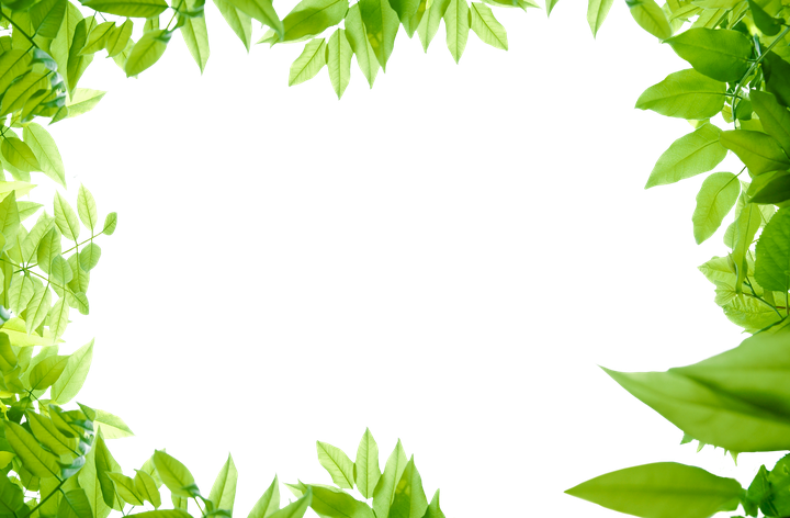 Leaves Border Png Isolated File (olive, black)