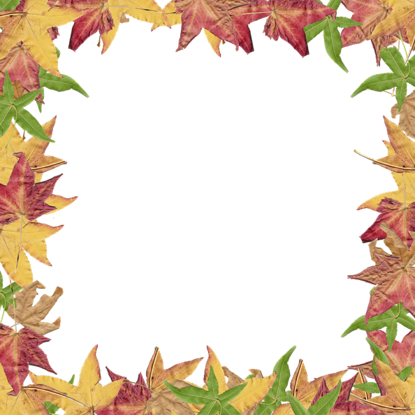 Leaves Border Png Isolated Photo (black, salmon)