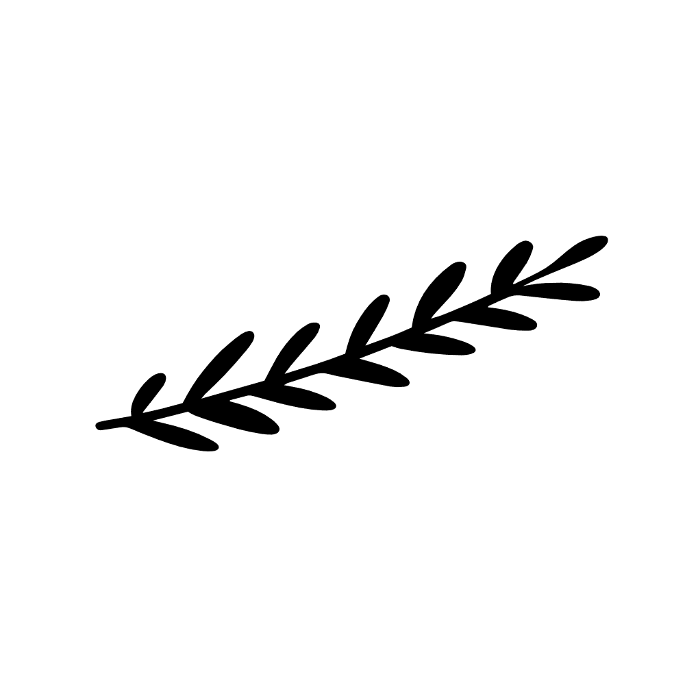 Leaves Border Png Photos (gray, black)