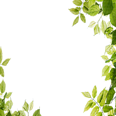 Leaves Frame Download Png Image (black)