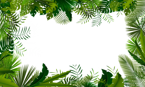 Leaves Frame Png Pic (black)