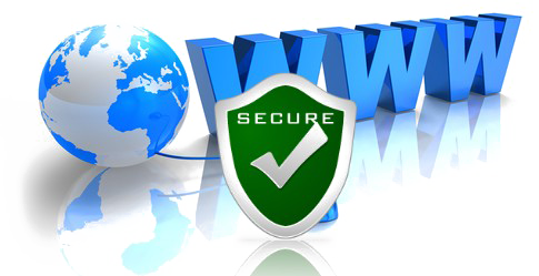 Web Security Png Transparent (white)