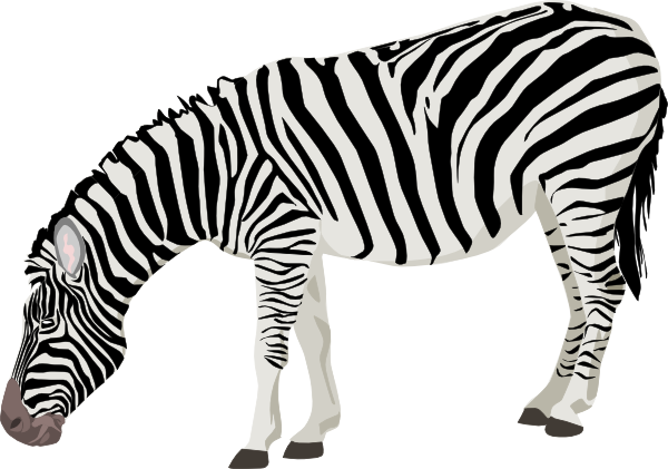 Zebra Png Clipart Background (black, beige, white)