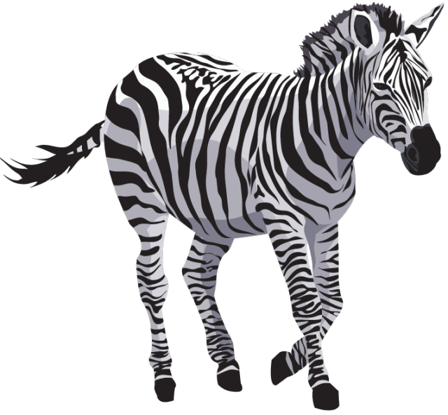 Zebra Png File Download Free (lavender, white, black, silver, gray)