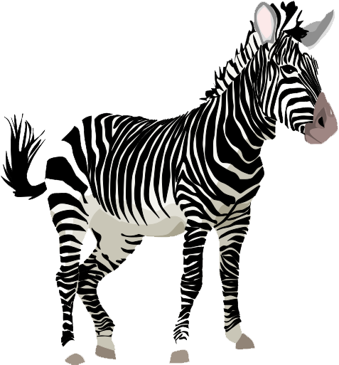 Zebra Png Hd Quality (black, silver, white)