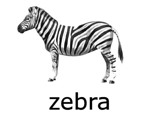 Zebra Png Transparent (lavender, white, black, silver, gray)