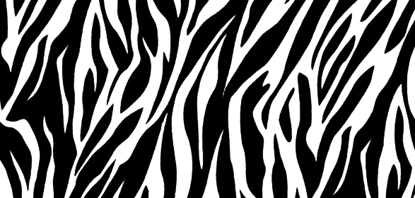 Zebra Print Png Photo (black, white)