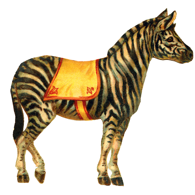 Zebras Png Pic (black)