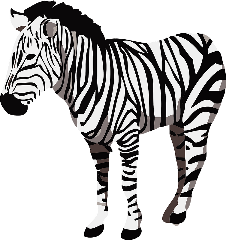 Zebras Png (black, lavender, white, gray)