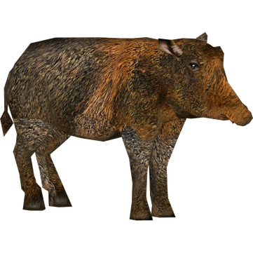 Peccaries Png Hd (black, maroon, olive)