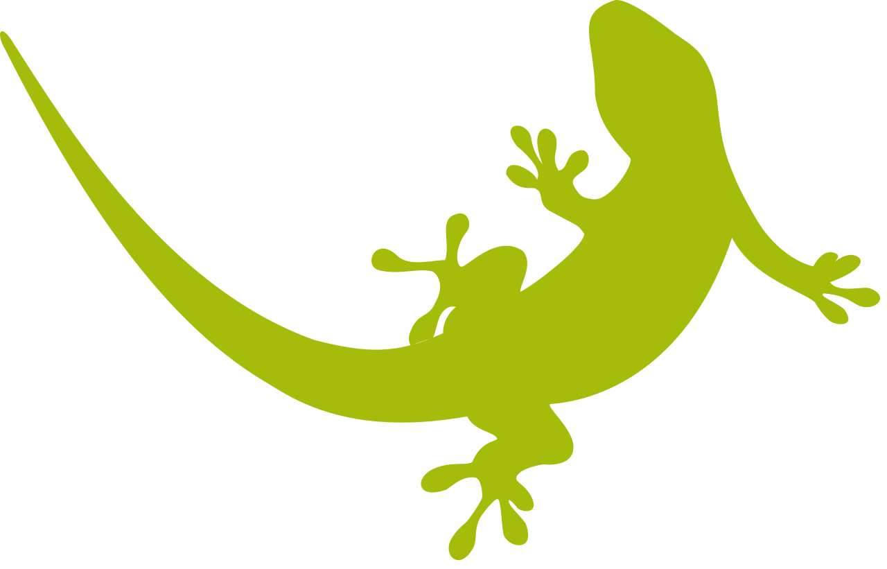 Gecko No Background (black, olive)