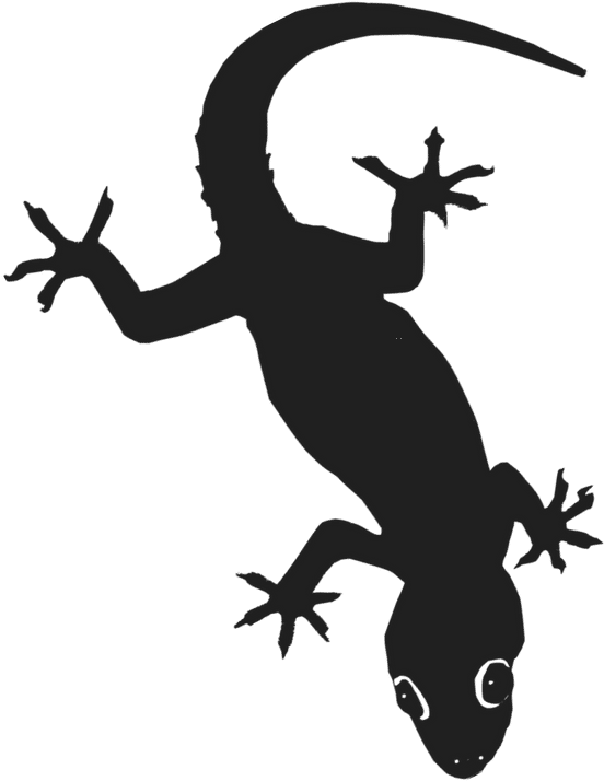 Gecko Png File (black)