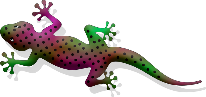 Gecko Png Isolated Hd (black)