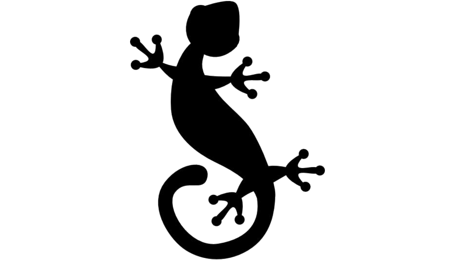 Gecko Png Isolated Photo (black, white)