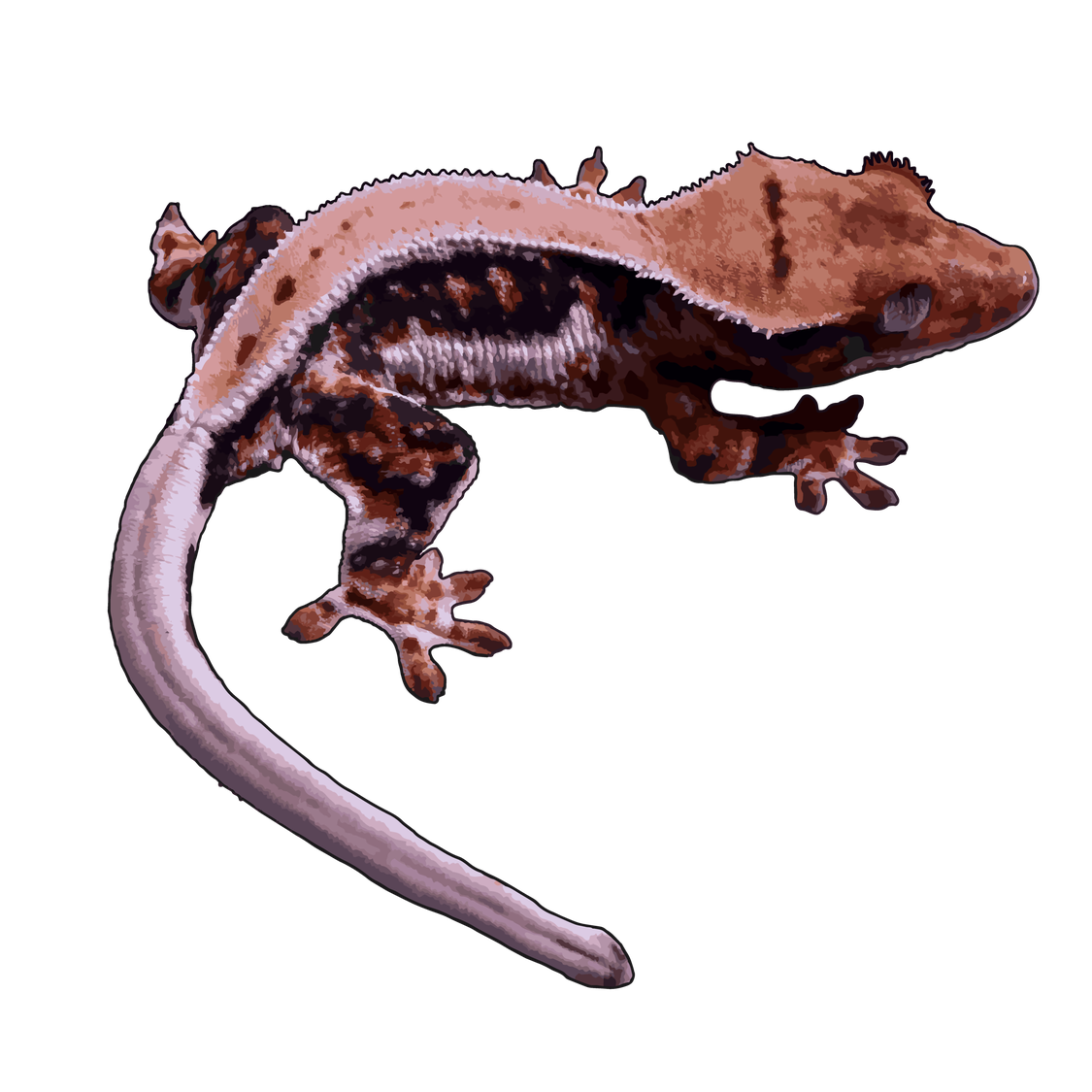 Gecko Png Picture (black, silver)