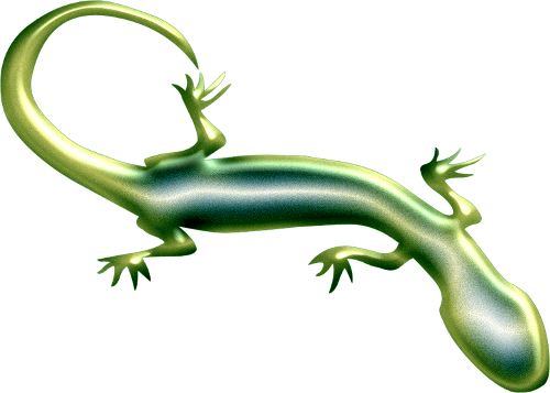 Geckos Png Free Download (black)