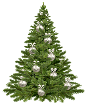 Decorative Christmas Pine Tree Png Image (olive, black)