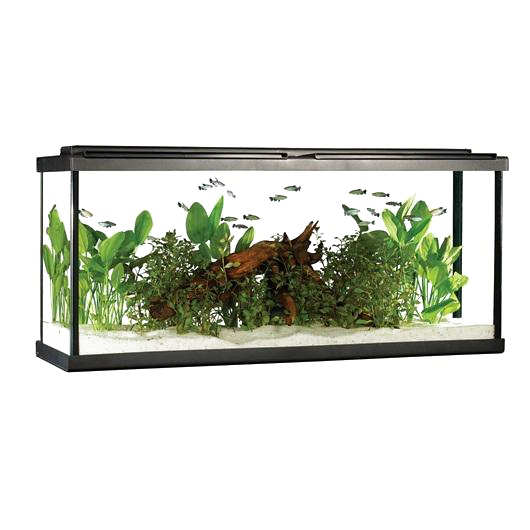 Rectangle Fish Tank Transparent Png (white)