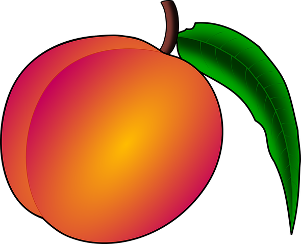 Nectarine Png Clipart (chocolate, black)