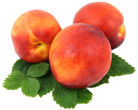 Nectarine Png Photo (black, salmon)