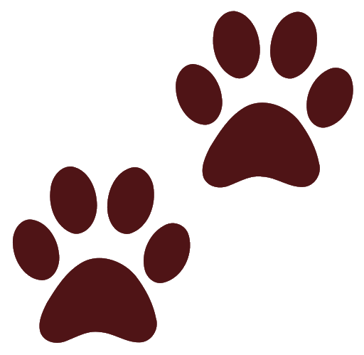 Vector Animal Footprint Transparent Png (maroon, black)