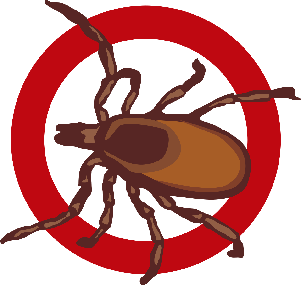 Vector Bed Bug Png Photos (chocolate, white, red, black, maroon)