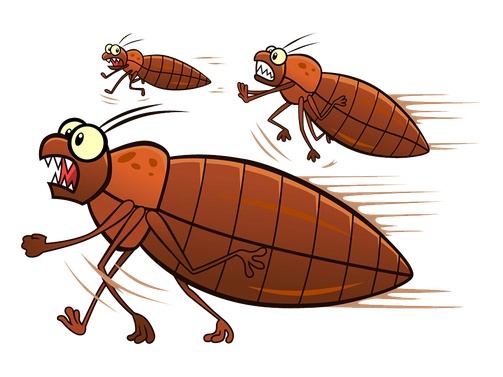 Vector Bed Bug Transparent Png (black, maroon, chocolate)