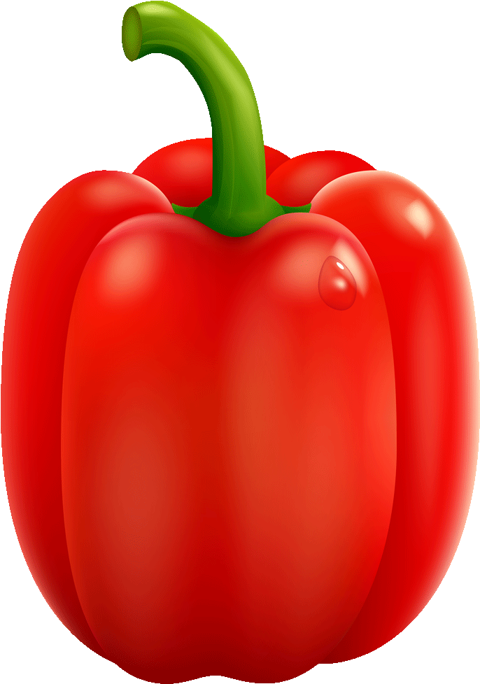 Vector Bell Pepper Red Capsicum Transparent Png (black, maroon, chocolate, red)