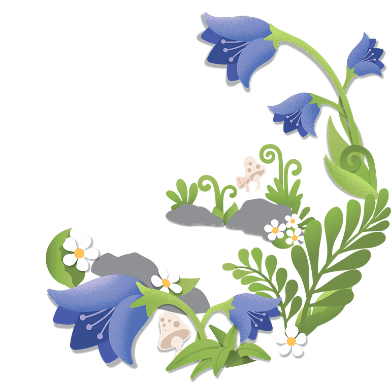 Vector Bluebells Png Hd (black, white, gray, teal)