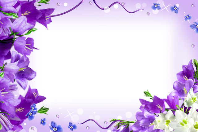 Vector Bluebells Transparent Background (black, gray, lavender)