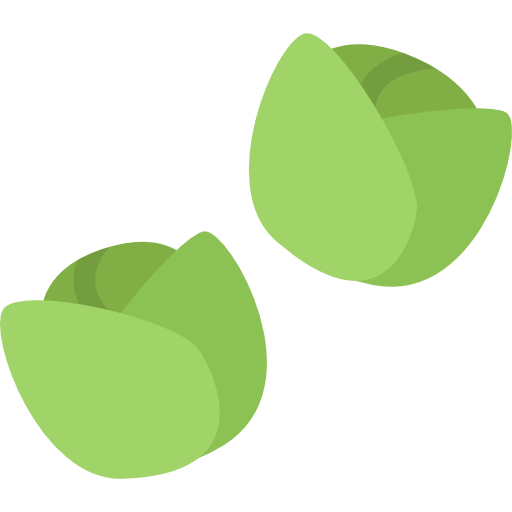 Vector Brussels Sprouts Png File (white, gray, olive)