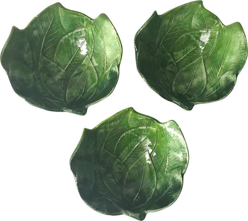 Vector Brussels Sprouts Png Photos (black, green)