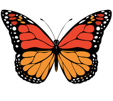 Vector Butterfly Png Clipart (black, chocolate, orange)